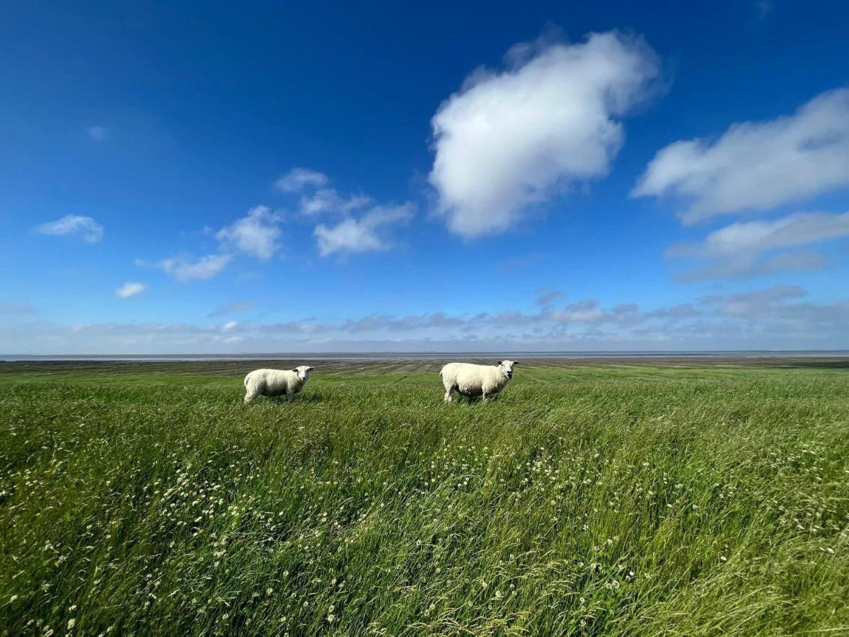 فيلا Ferienhaus Blaue Nordseewelle إِزينتْس المظهر الخارجي الصورة